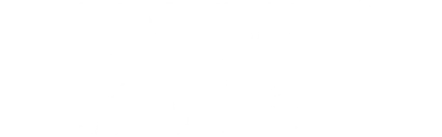 DayZ